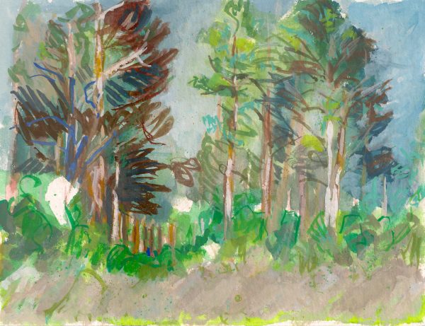 a photograph of a gouache painting title 'Scots Pines, Bog Edge, Kirkconnell Flow' by artist Catherine Coulson © 2019 Catherine Coulson