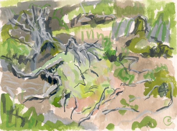 a photograph of a gouache painting title 'Sphagnum Mound, Summer, Kirkconnell Flow' by artist Catherine Coulson © 2019 Catherine Coulson