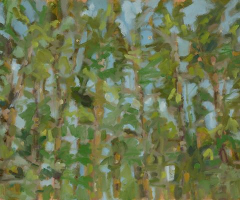 a photograph of an oil painting title 'Scots Pines' by artist Catherine Coulson © 2018 Catherine Coulson