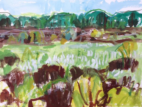 a photograph of a gouache painting title 'Cottongrass and Peat, Kirkconnell Flow' by artist Catherine Coulson © 2019 Catherine Coulson