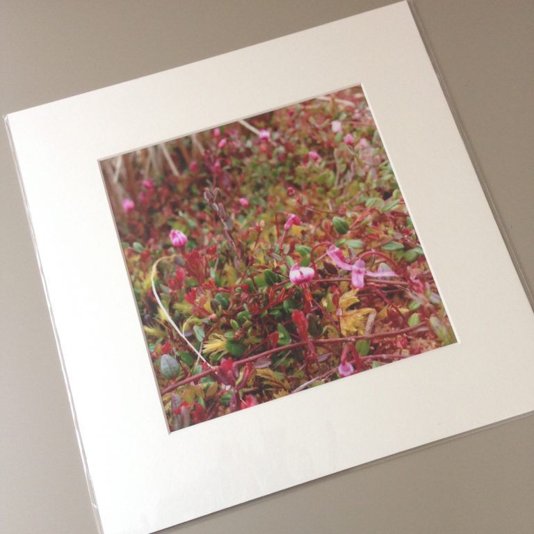 Mounted photograph, product shot © 2020 Catherine Coulson