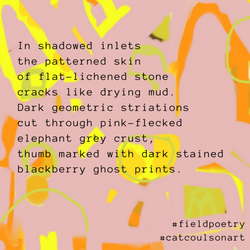 a poem about lichen on a pink and yellow patterned digital artwork image © Catherine Coulson catcoulson.art
