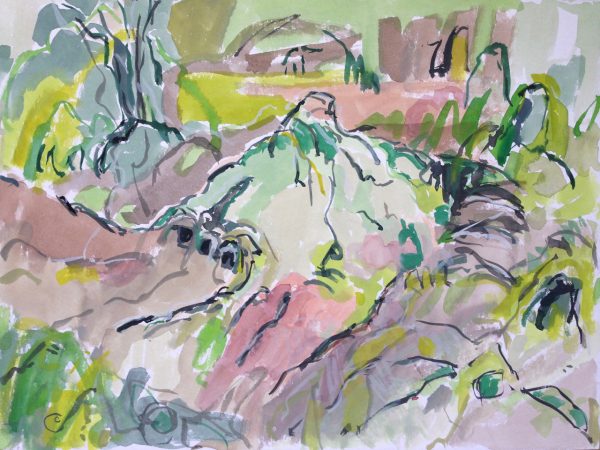 a photograph of a gouache painting title 'Sphagnum Mound, Kirkconnell Flow' by artist Catherine Coulson © 2019 Catherine Coulson