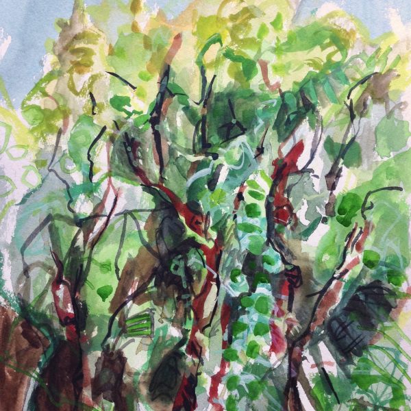 photograph of a gouache painting 'Orchard Woodland' by Catherine Coulson © 2019 catcoulson.art