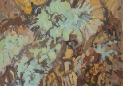 Catherine Coulson | Reindeer Lichen and Heather | 2019 | oil on board | 20x24in